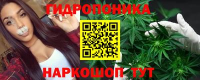 бошки Донецк