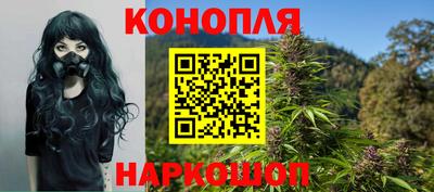 сатива Жуковский